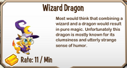 market description for wizard dragon
