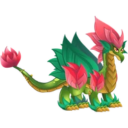 Double Nature Dragon Adult image