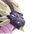 Eintrachtsdrache0