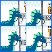 Head.jpg.jpg (505 KB) The extending head of the Sea Dragon.