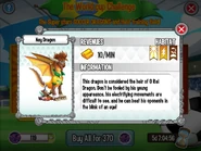 NeyInfo.jpg (223 KB)
