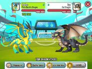 Fighting Cat Dragon with Pure Electric Dragon