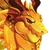 Sonnen-Drache0