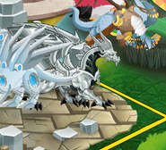 Metal Dragon in habitat