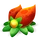 Plant 5