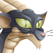 Cat Dragon Adult profile image