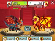 Fighting Pure Flame Dragon with Shogun Dragon