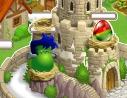 Frankie Dragon in Hatchery