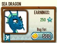 Sea Dragon in the Shop