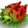 Plant Old 5