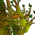 Dunkelwald-Drache0