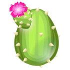 Cactus Dragon 0