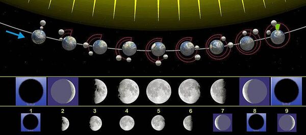 Orbita4