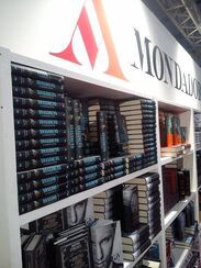 Dragonero romanzo mondadori pila.jpg