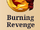 Burning Revenge