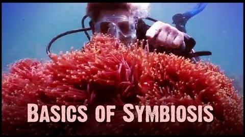 Symbiosis_Mutualism,_Commensalism,_and_Parasitism