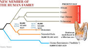 325457-denisovans2.jpg