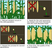 27956 evo resources resource image 364 original