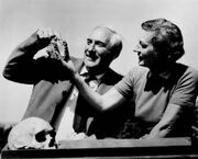 Louis-and-mary-leakey-275-221-10