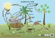 BiodiversityWeb