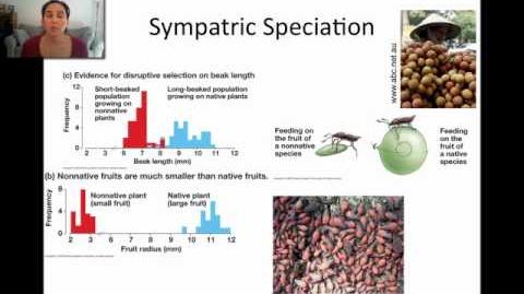 Sympatric_Speciation