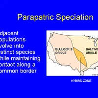 More On Parapatric Speciation Dragonflyissuesinevolution13 Wiki Fandom Instinct is the natural tendency that a person or animal has to behave or react in a. more on parapatric speciation