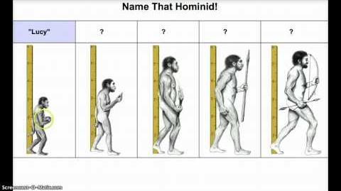 Early Hominids Capabilities