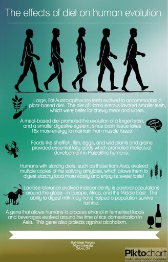 Diet&Evolution