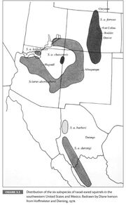 Map showing the distribution of the six subspecies of tassel-eared squirrels in the southwestern United States and Mexico. Image Credit: Allred, S. (2010). The Natural History of Tassel-Eared Squirrels. Albuquerque, NM: University of New Mexico Press. Retrieved October 2, 2013, from Project MUSE database.