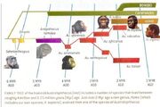 Human-familytree