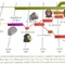 Human Family Tree