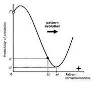 Aposematic Graph