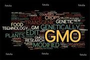 Genetic modification.jpg