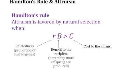 Hamilton's_Rule