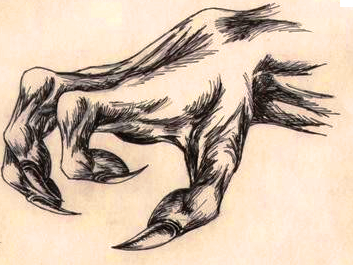 dragon claws drawing