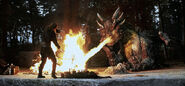 Dragonheart campfire