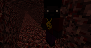 In the Nether