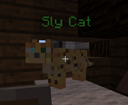 Slycat