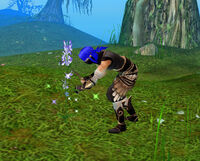 Herbalism2 2.jpg