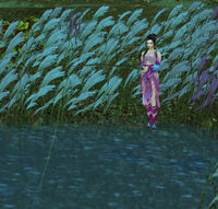 Fishing2 2.jpg