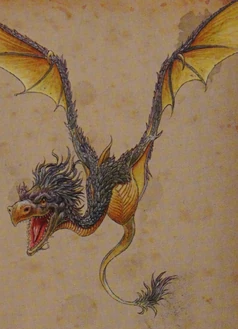 Classic colors of Draco americanus tex