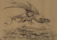 A Flying European Dragon