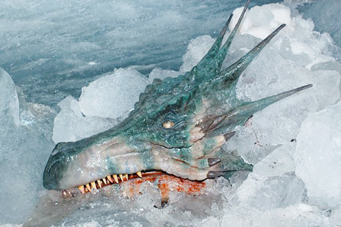 real dragons found alive in ice