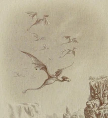 American Amphithere Flock