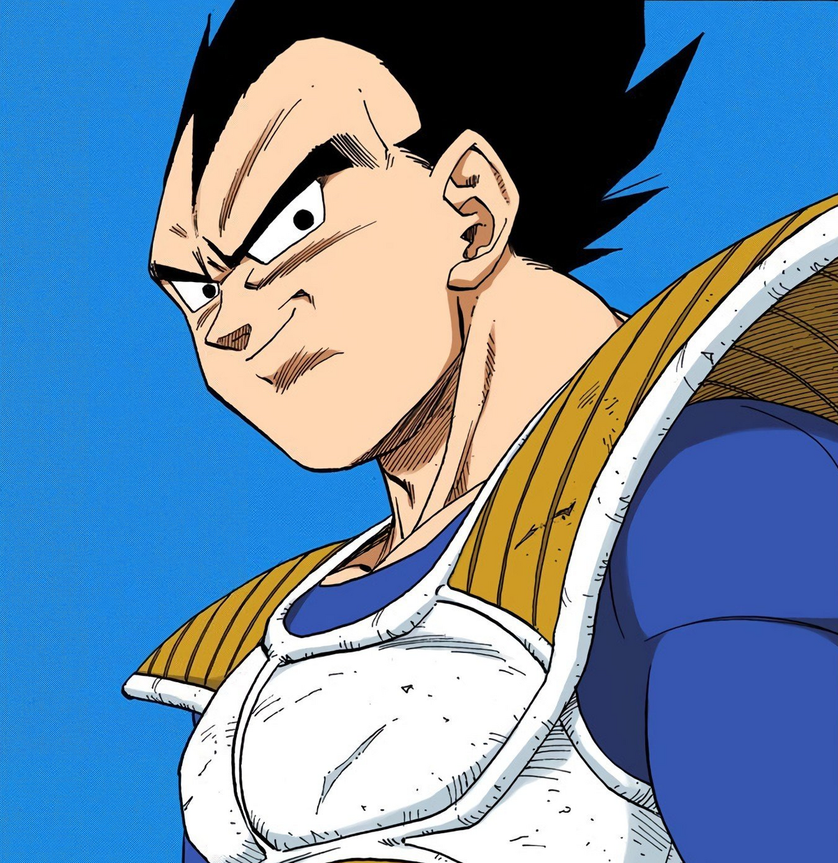 Dragon Planet Wiki Fandom Powered Wikia - Made Up Dragon Ball Z Character,  HD Png Download - 1600x2890(#4862481) - PngFind