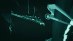 The Bridge Through the Darkness[5]