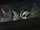 Collectibles.jpg