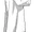 RaylaLeaves.png