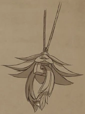 Aanya's pendant opened