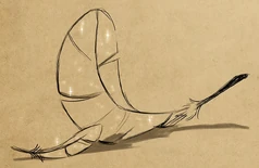 Big and small Shimmercrow feathers[57]